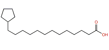 13-Cyclopentyltridecanoic acid